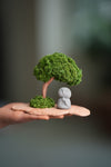 A Small Tree in the East - Classic - Journeyman (Preserved Plants)