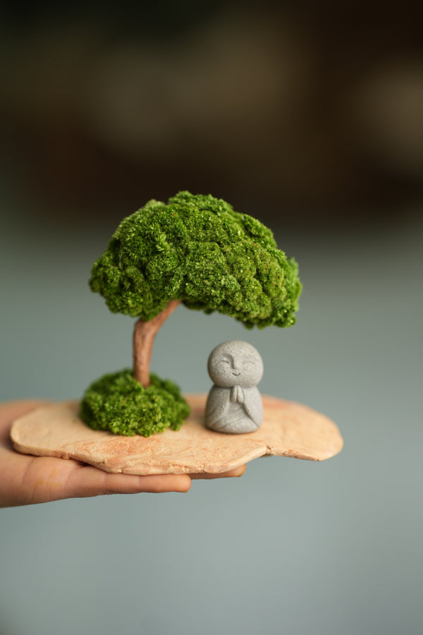 A Small Tree in the East - Classic - Journeyman (Preserved Plants)