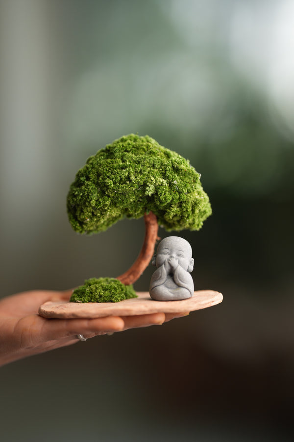 A Small Tree in the East - Classic - Journeyman (Preserved Plants)