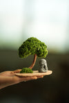 A Small Tree in the East - Classic - Journeyman (Preserved Plants)
