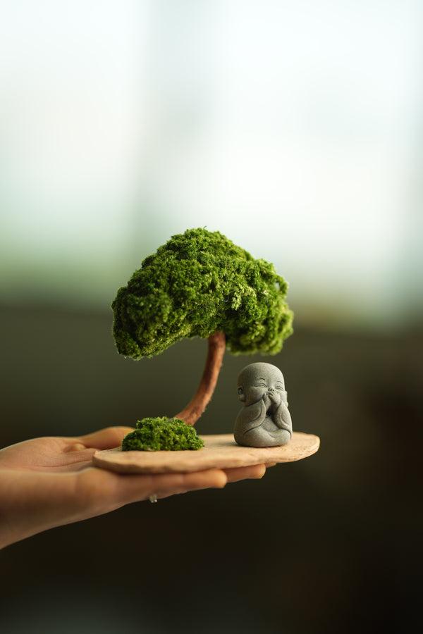 A Small Tree in the East - Classic - Journeyman (Preserved Plants)