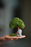 A Small Tree in the East - Classic - Journeyman (Preserved Plants)