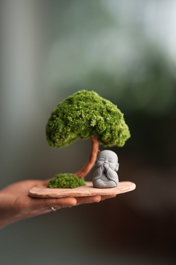 A Small Tree in the East - Classic - Journeyman (Preserved Plants)