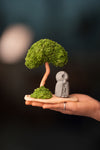 A Small Tree in the East - Classic - Journeyman (Preserved Plants)