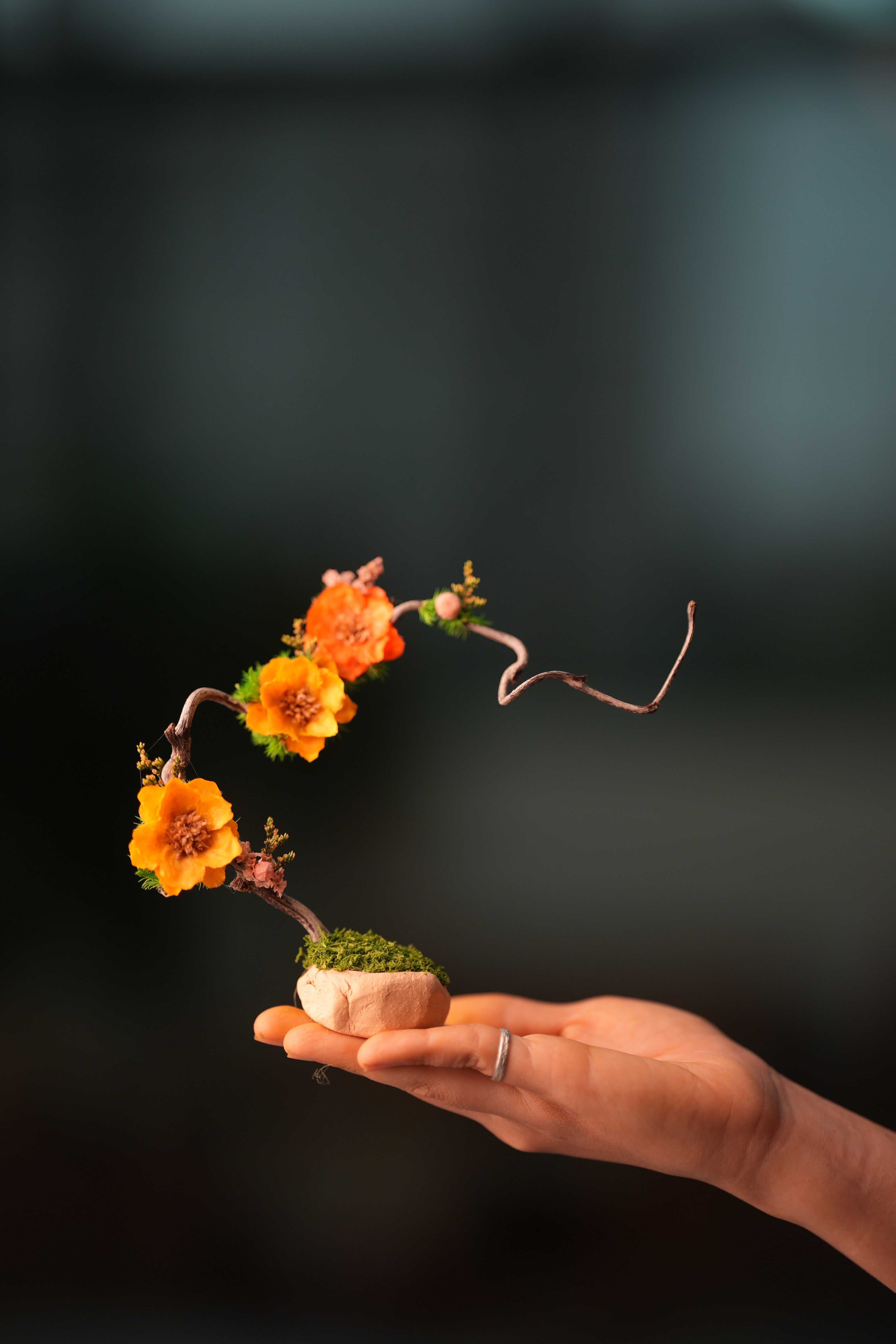 Children of the Forest - Grace - Smaller (Preserved Plants)