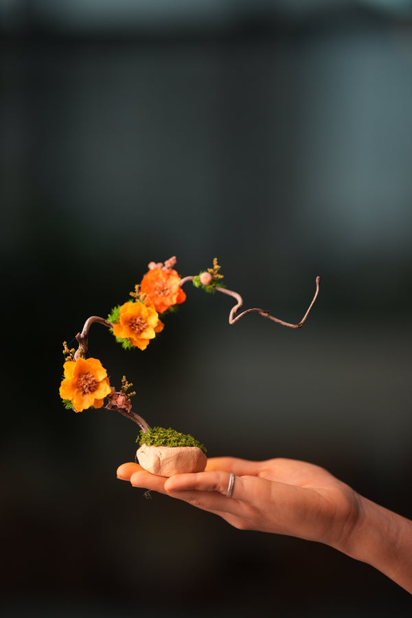 Children of the Forest - Grace - Smaller (Preserved Plants)