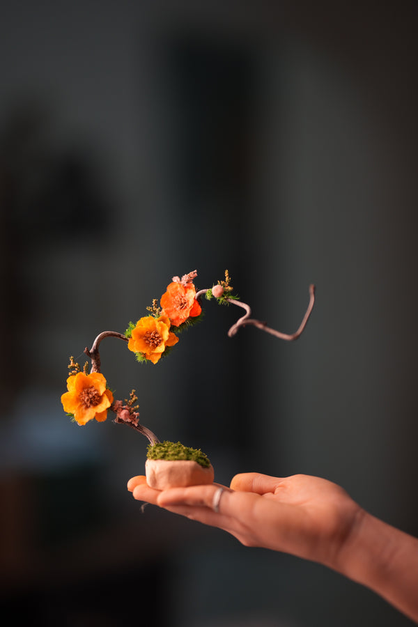 Children of the Forest - Grace - Smaller (Preserved Plants)