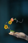 Children of the Forest - Grace - Smaller (Preserved Plants)