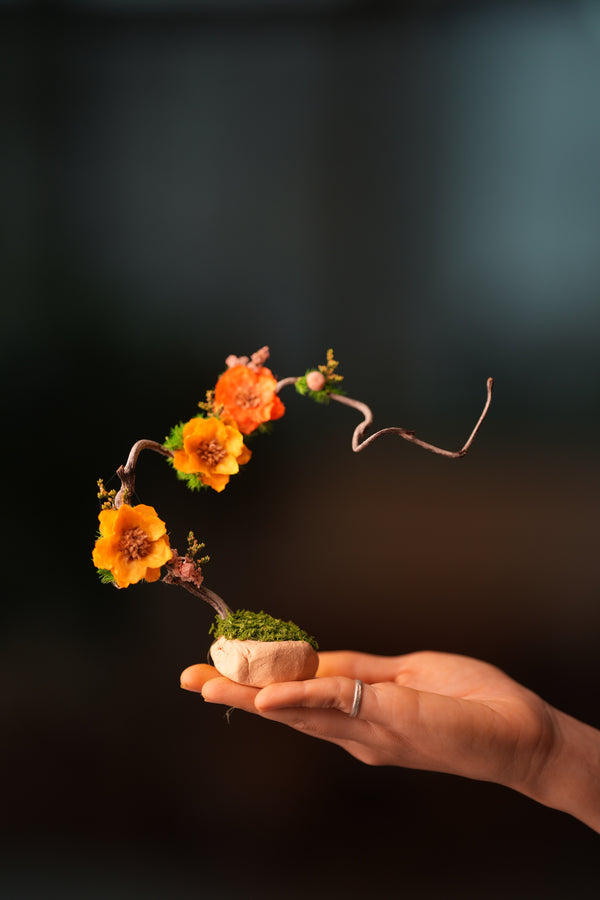 Children of the Forest - Grace - Smaller (Preserved Plants)
