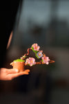 Children of the Forest - Bamboo Curve (Preserved Plants)