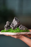 Alpine Meadow - Stormy Hill (Preserved Plants)