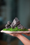 Alpine Meadow - Stormy Hill (Preserved Plants)