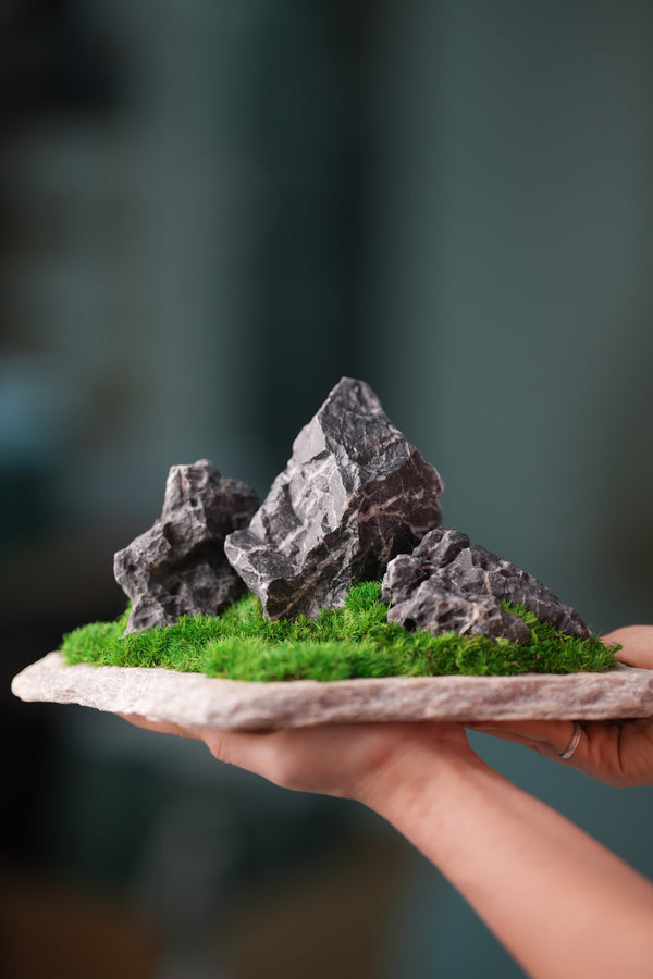 Alpine Meadow - Stormy Hill (Preserved Plants)