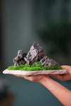 Alpine Meadow - Stormy Hill (Preserved Plants)