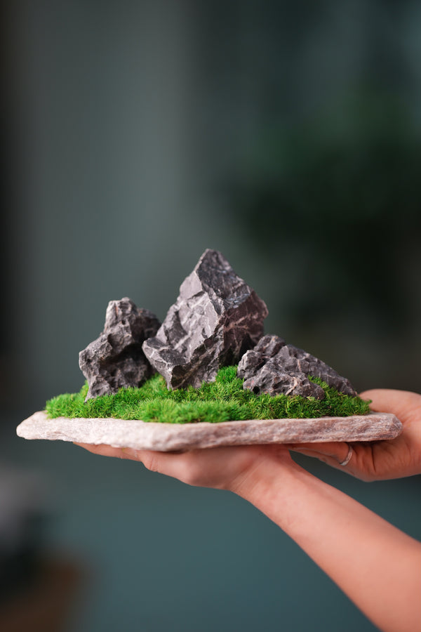 Alpine Meadow - Stormy Hill (Preserved Plants)