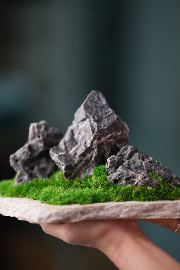Alpine Meadow - Stormy Hill (Preserved Plants)