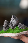 Alpine Meadow - Stormy Hill (Preserved Plants)