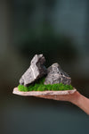 Alpine Meadow - Stormy Hill - Smaller (Preserved Plants)