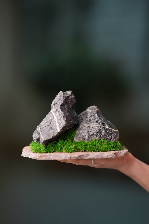 Alpine Meadow - Stormy Hill - Smaller (Preserved Plants)