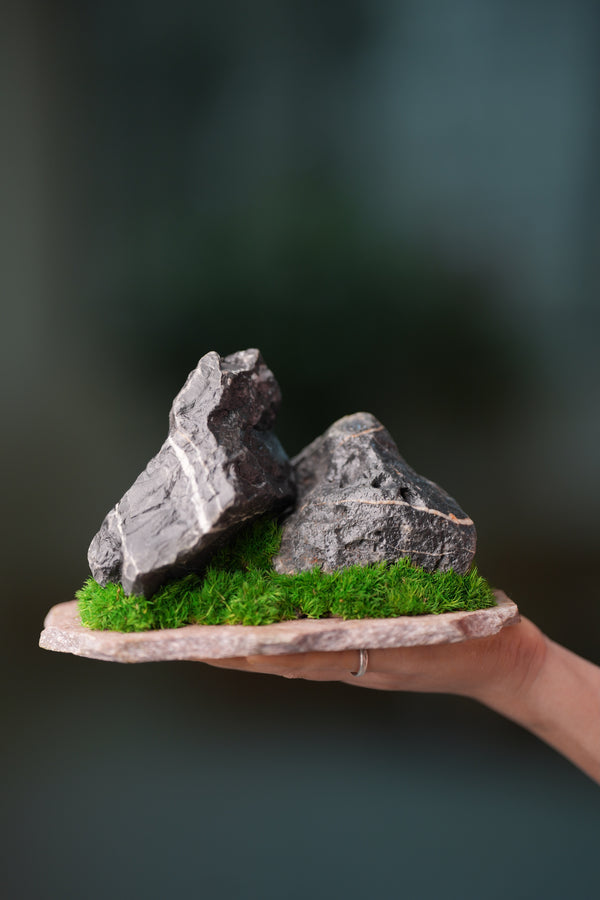 Alpine Meadow - Stormy Hill - Smaller (Preserved Plants)