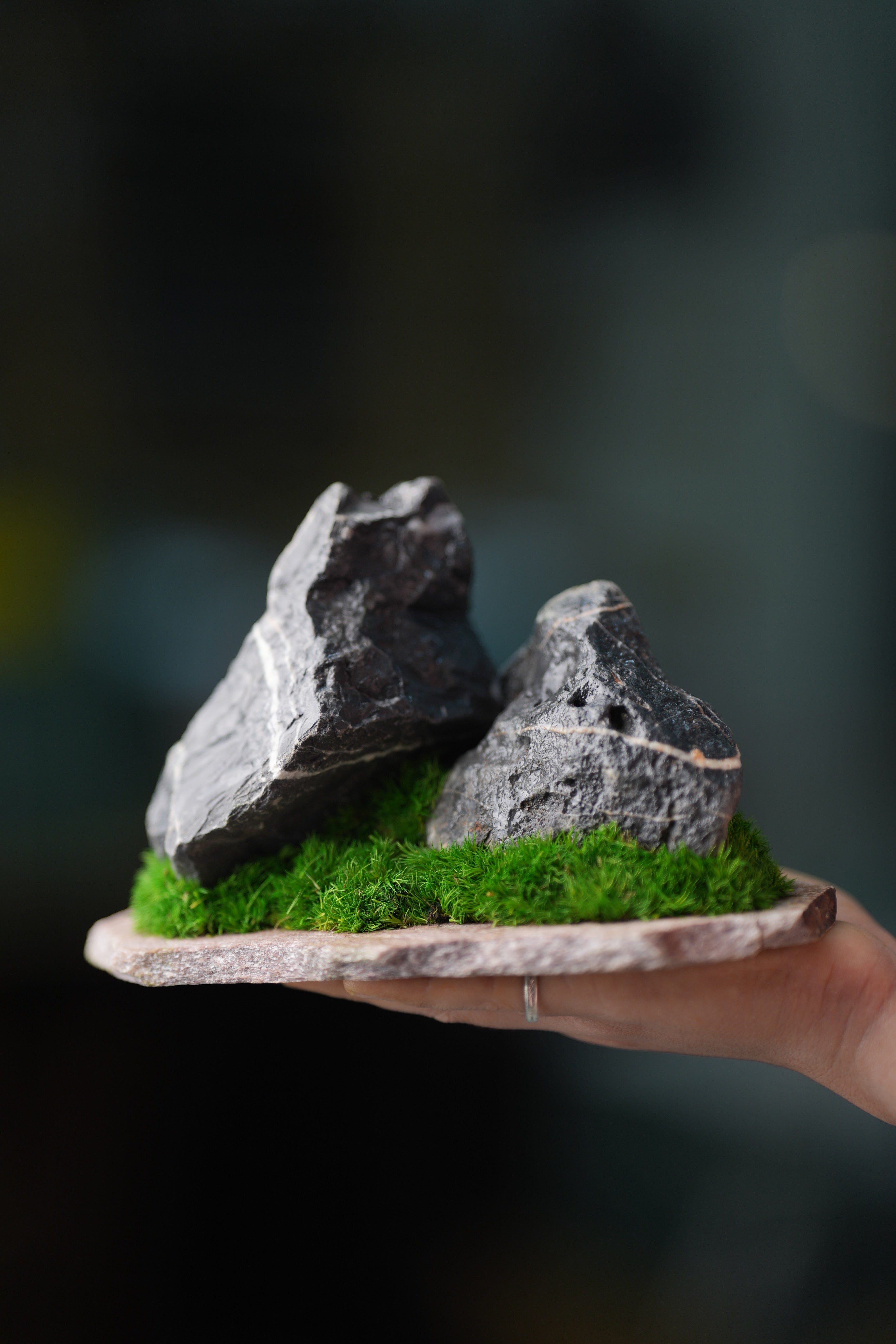 Alpine Meadow - Stormy Hill - Smaller (Preserved Plants)