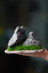 Alpine Meadow - Stormy Hill - Smaller (Preserved Plants)