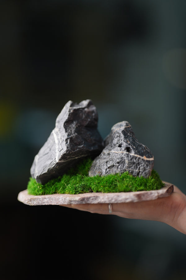 Alpine Meadow - Stormy Hill - Smaller (Preserved Plants)