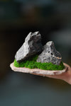 Alpine Meadow - Stormy Hill - Smaller (Preserved Plants)