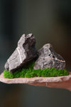 Alpine Meadow - Stormy Hill - Smaller (Preserved Plants)