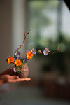 Children of the Forest - Vibrant (Preserved Plants)