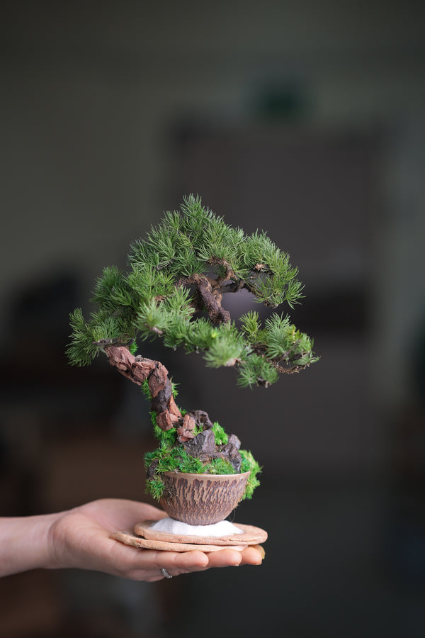 Iron Song of the Earth (Preserved Plant + Metal Craft)
