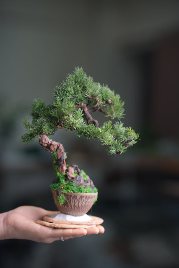 Iron Song of the Earth (Preserved Plant + Metal Craft)