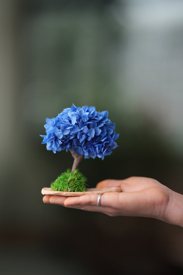 A Small Tree in the East - Purple Dream (Preserved Plants)