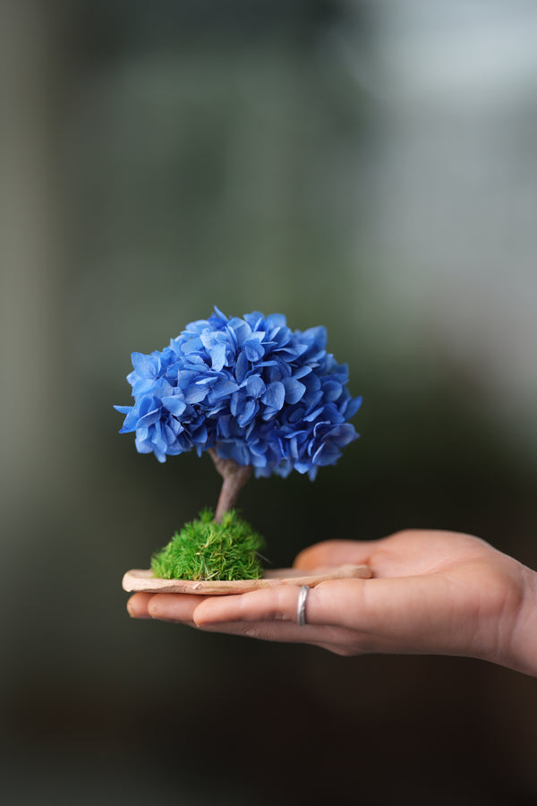 A Small Tree in the East - Purple Dream (Preserved Plants)