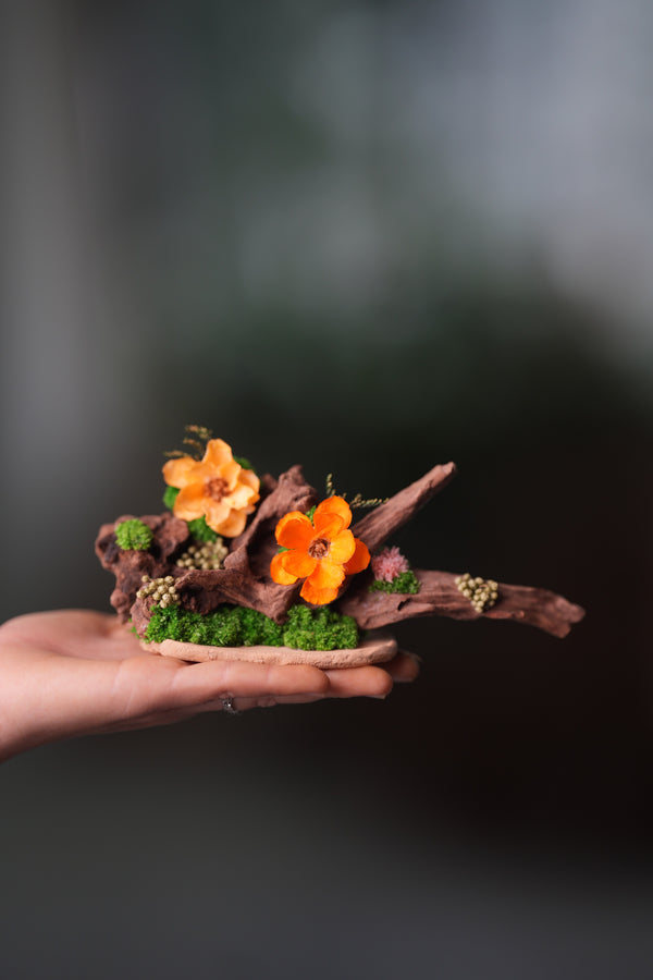 Children of the Forest - Driftwood (Preserved Plants)