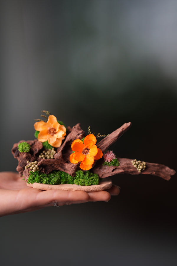 Children of the Forest - Driftwood (Preserved Plants)