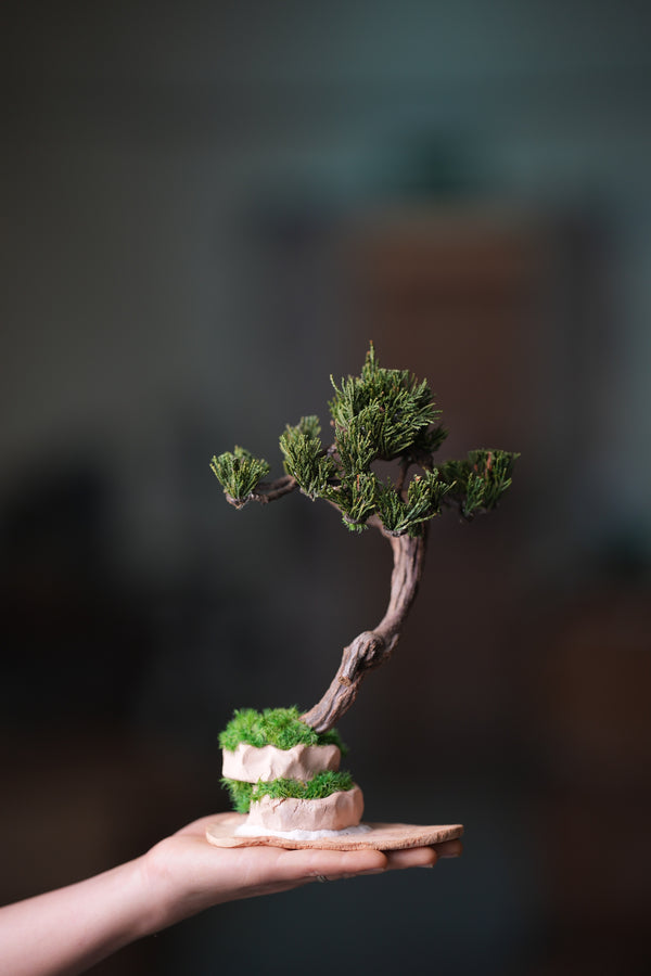 Rosewood - Steel Pine (Preserved Plants)