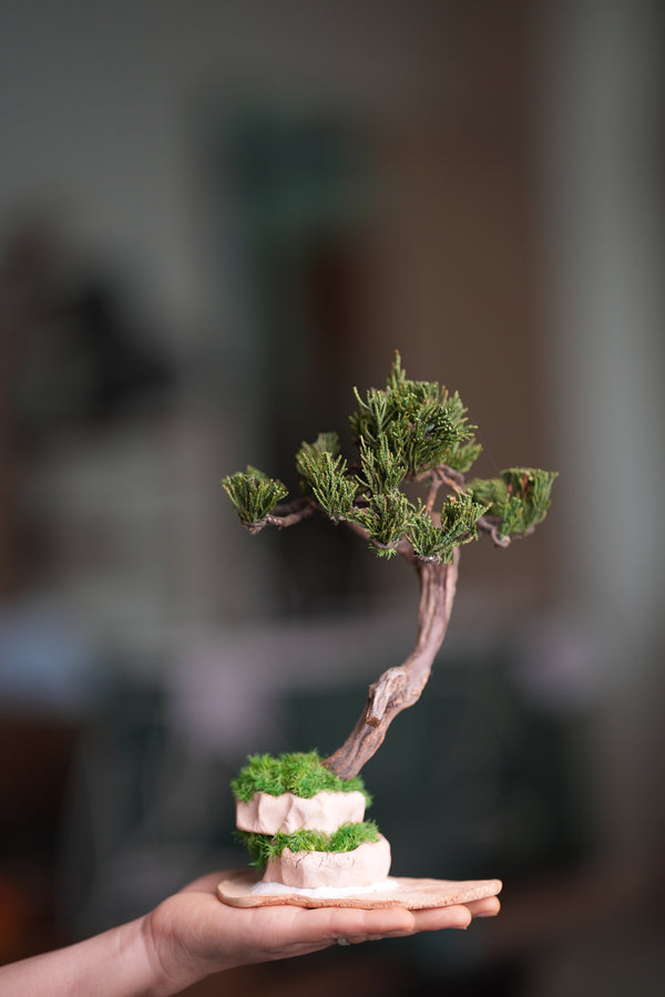 Rosewood - Steel Pine (Preserved Plants)