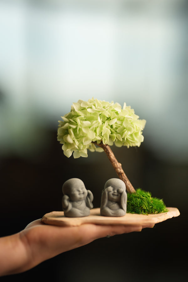 A Small Tree in the East - Early Spring - Duo of No Evil (Preserved Plants)