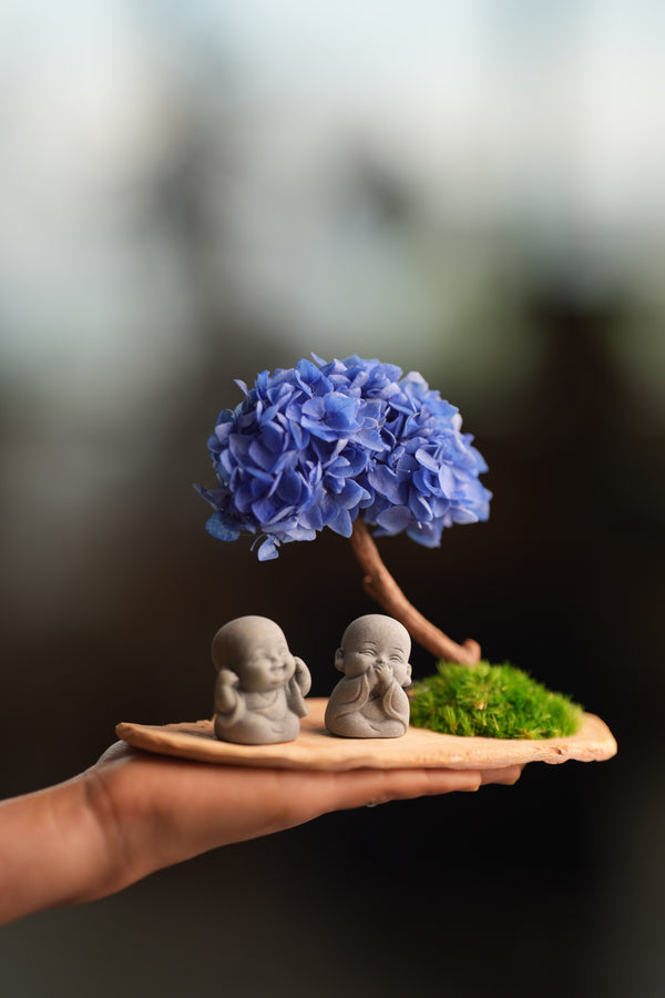 A Small Tree in the East - Purple Dream - Duo of No Evil (Preserved Plants)