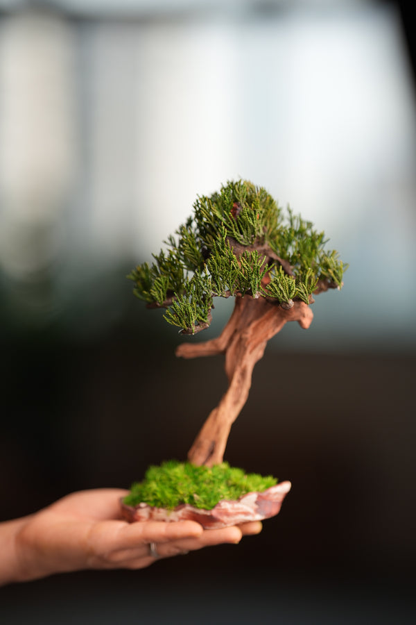 Benchmark Pine - Driftwood - Steel (Preserved Plants)