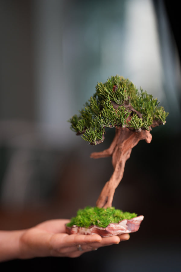 Benchmark Pine - Driftwood - Steel (Preserved Plants)