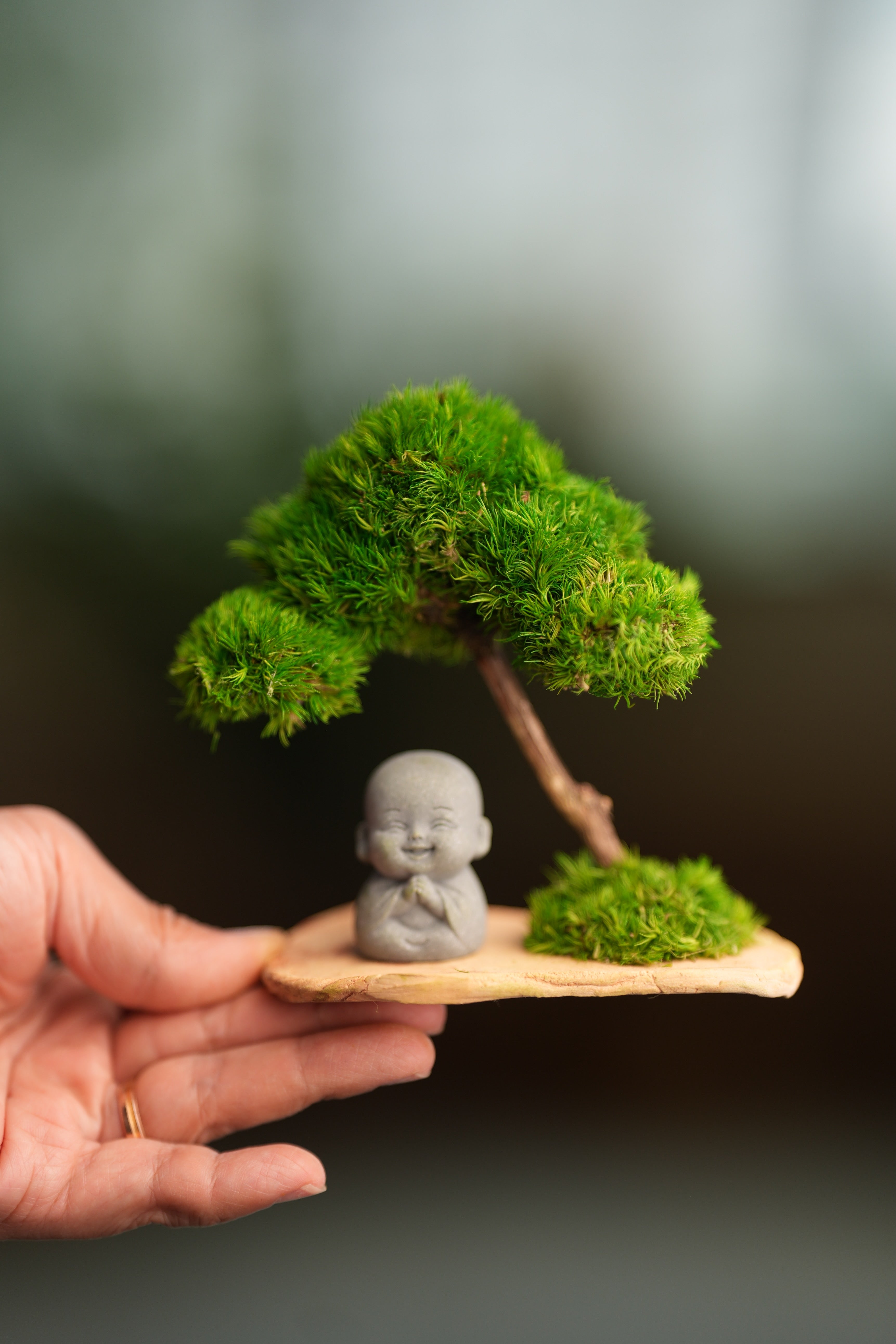 A Small Tree in the East - Classic - Journeyman (Preserved Plants)