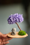 A Small Tree in the East - Purple Heart - Journeyman (Preserved Plants)