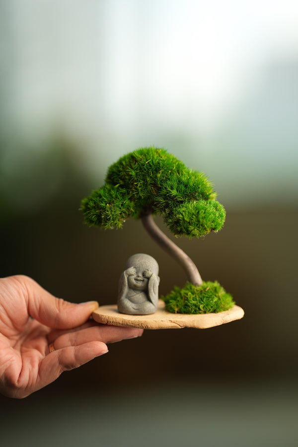 A Small Tree in the East - Classic - Journeyman (Preserved Plants)