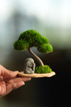 A Small Tree in the East - Classic - Journeyman (Preserved Plants)