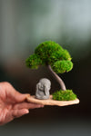 A Small Tree in the East - Classic - Journeyman (Preserved Plants)