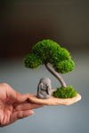 A Small Tree in the East - Classic - Journeyman (Preserved Plants)