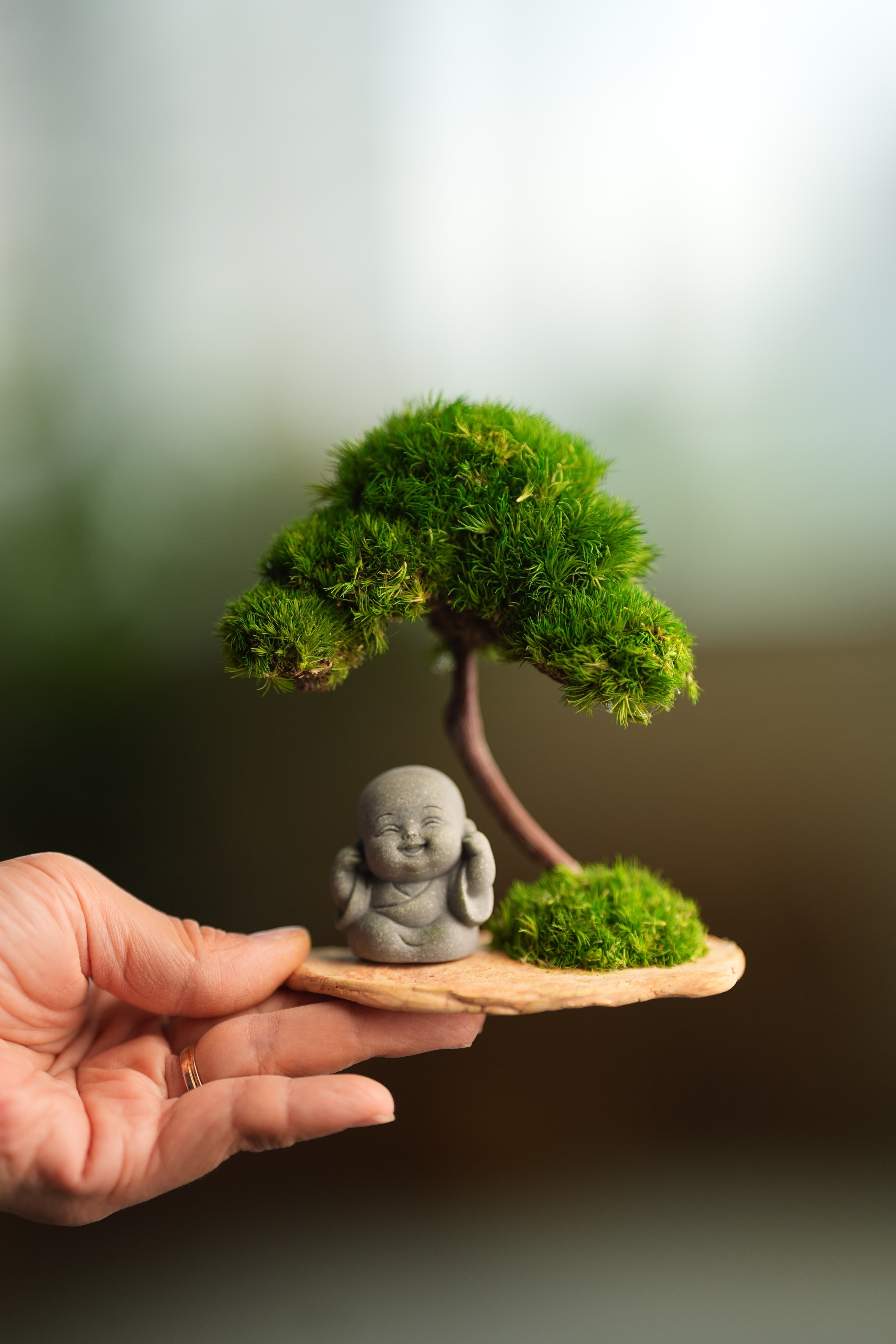 A Small Tree in the East - Classic - Journeyman (Preserved Plants)