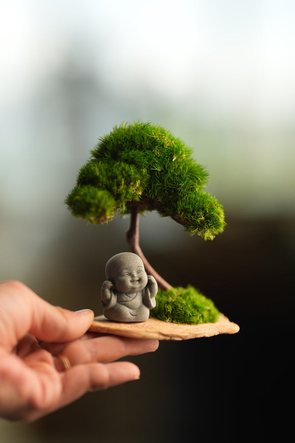 A Small Tree in the East - Classic - Journeyman (Preserved Plants)